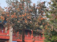 -北京石刻艺术博物馆(五塔寺)
