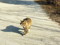 -北京西山国家森林公园