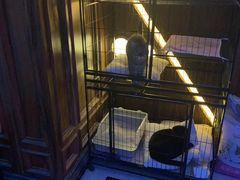 -音悦汇量贩KTV(相城店)