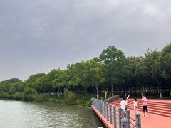 -柳鹭田园区