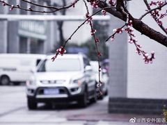 -西安外国语大学(长安校区)