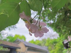 -颐和路民国时期公馆风貌区
