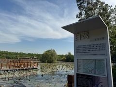 -大湾区中央湿地公园