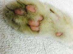 -惠康宠物医院(华能路店)