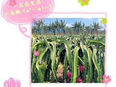 -硇洲岛旅游区
