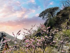 -泰山风景名胜区