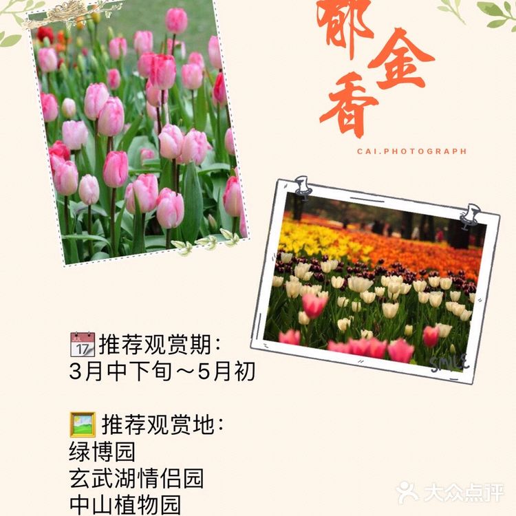 南京最全赏花地图🌸承包春天，有这份攻略就够了‼️