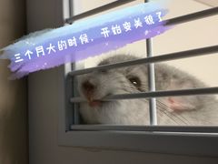 -龙猫仔乐园(惠福东路店)