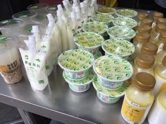 -德禄酸奶(莫家街店)