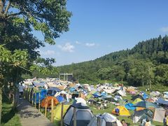 -武陵山森林公园
