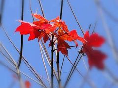 -溪口-滕头旅游景区