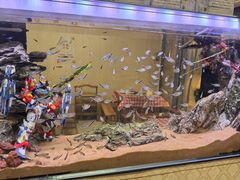 -金鼎雪山牦牛杂火锅(理县总店)