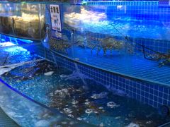 -驻海渔市(置信店)