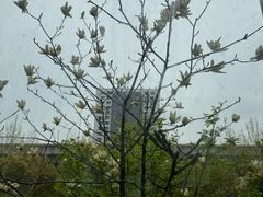 -棒约翰比萨·意面(金桥国际店)