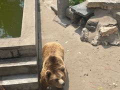 -保定市动物园