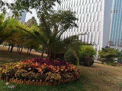 -小白楼1902欧式风情街