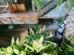 -Rainforest