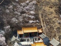 -辛安庄鸡鸣山景区