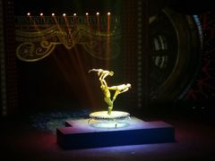 -珠海横琴长隆《卡卡虎奇遇记》