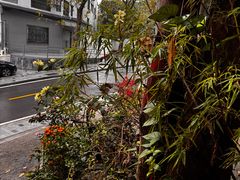 -行人小筑·茶馆(岑村火炉山分店)