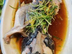 -眼镜味道(德才店)