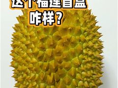 -佘山银湖别墅