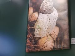 -烹然四季椰子鸡火锅(姚家园万象汇店)