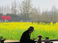 -蜀绣公园