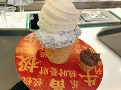 -极拉图·现制冰淇淋(大卫城店)