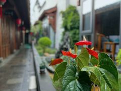 -不倒翁·徽天下名菜楼(马鞍山路店)