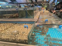 -一方渔歌蒸汽海鲜自助(文化路万达广场店)