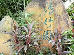 -晓港公园