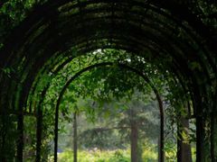 -国家植物园南园