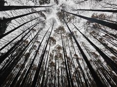 -山王坪喀斯特国家生态公园