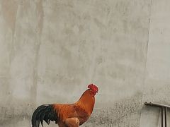 -三里河公园