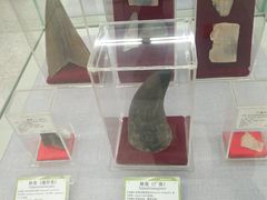 -北京中医药大学-中医药博物馆