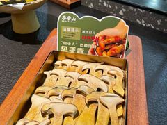 见手青-季季山·云南野生菌火锅(上海首店)