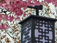 -龟山风景区-龟山电视塔