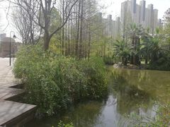 -苏州河梦清园环保主题公园