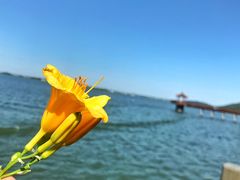 -南京金牛湖风景区