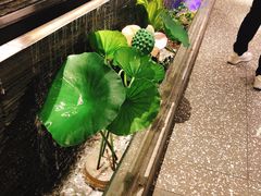-大榕树下顺德菜(融创茂店)