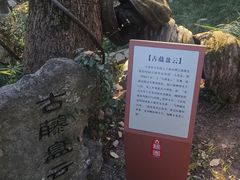 -绮园景区