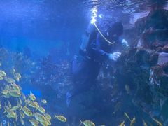 -海合安成都极地海洋公园