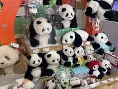 -熊猫邮局(少城店)