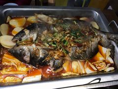 -黑猫馋纸包鱼(阳光店)