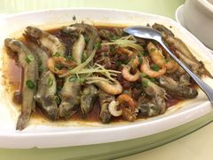 面豉蒸白鴿魚-四季大酒楼(白濠店)