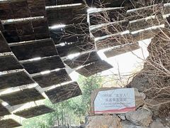 -周口店北京人遗址公园