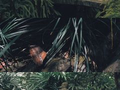 -广州中山纪念堂