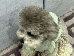 -都市枪神实弹射击俱乐部