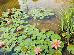 -星巴克(深圳前海企业公馆店)